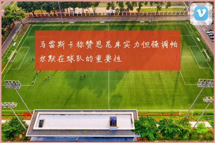 马雷斯卡称赞恩昆库实力但强调帕尔默在球队的重要性