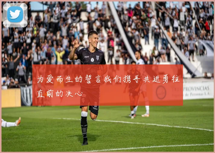 为爱而生的誓言我们携手共进勇往直前的决心